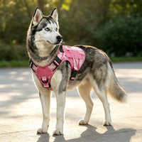 Pink Camouflage Tactical Dog Harness Vest Heavy Duty No Pull Service Dog Training Harness with Elastic Leash & Patches
