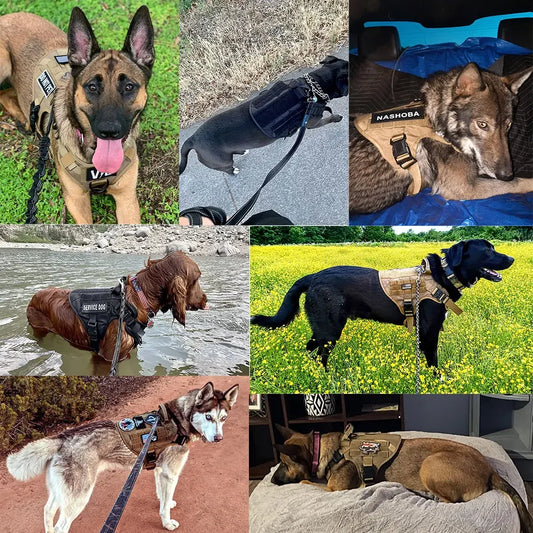 Large Dog Collar Dog Harness and Leash Set Pet Vest Tactical German Shepherd Harnesses for Small Dogs
